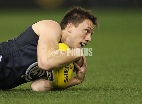 AFL 2012 Rd 08 - Carlton v Adelaide - 258084