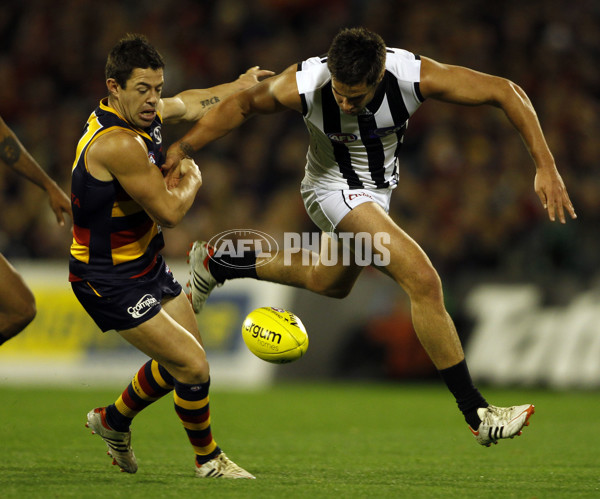 AFL 2012 Rd 09 - Adelaide v Collingwood - 258568