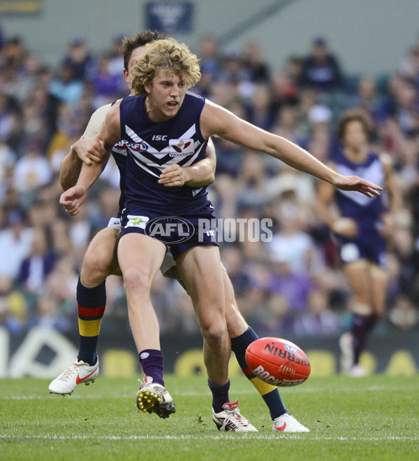 AFL 2012 Rd 10 - Fremantle v Adelaide - 259349