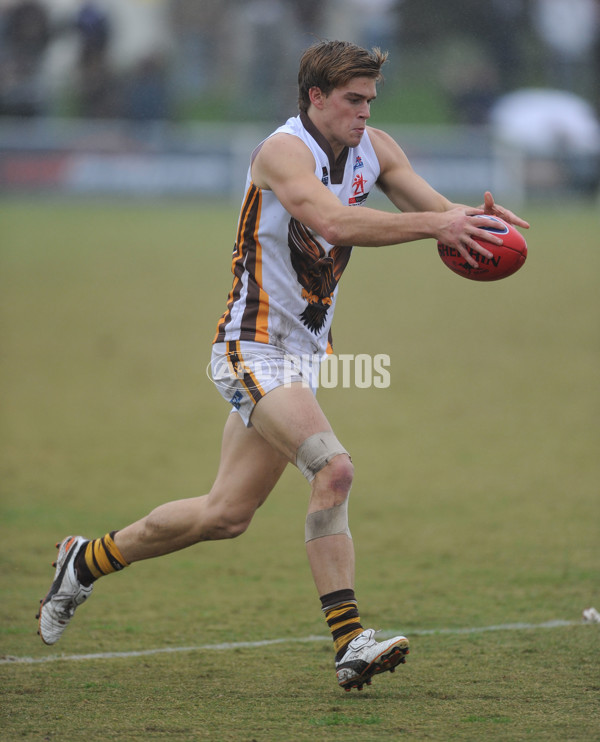 VFL 2012 Rd 11 - Williamstown v Box Hill - 259849