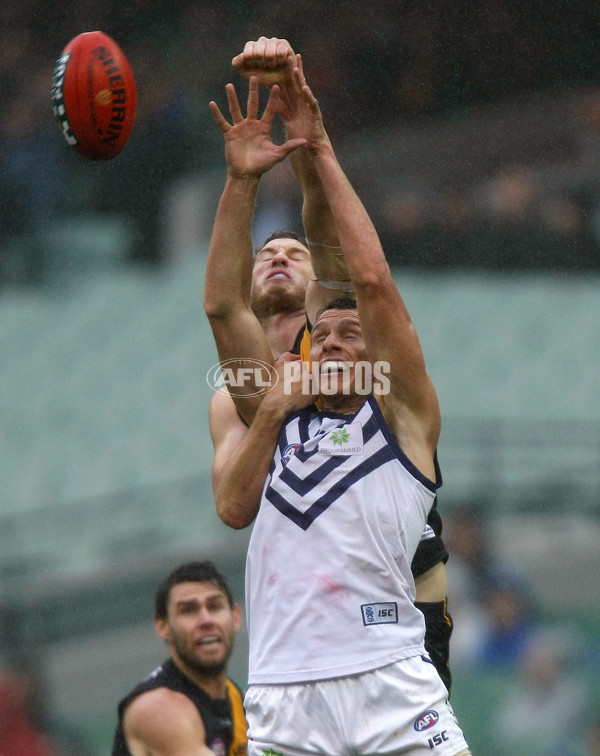 AFL 2012 Rd 11 - Richmond v Fremantle - 259859