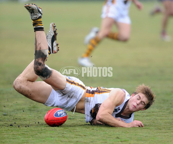 VFL 2012 Rd 11 - Williamstown v Box Hill - 259857