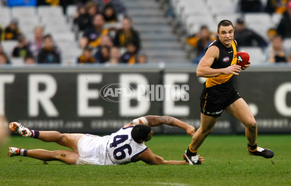 AFL 2012 Rd 11 - Richmond v Fremantle - 259893