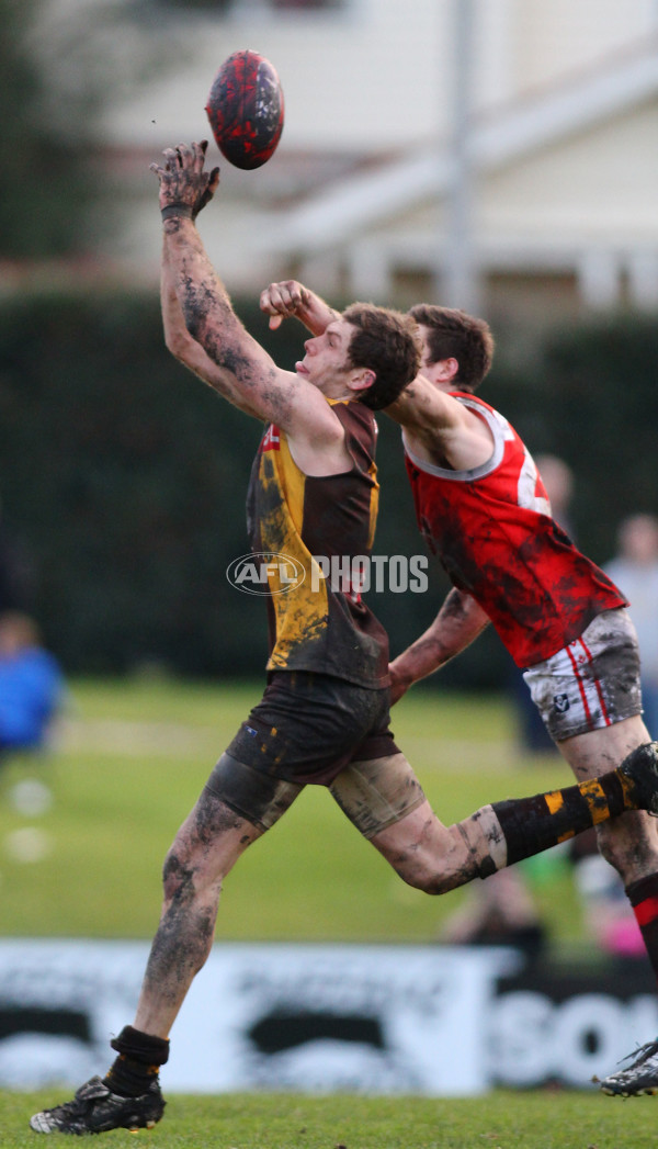 VFL 2011 Rd 17 - Box Hill v Northern Bullants - 237983