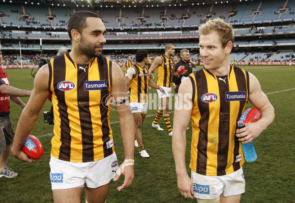 AFL 2011 Rd 18 - Melbourne v Hawthorn - 238316