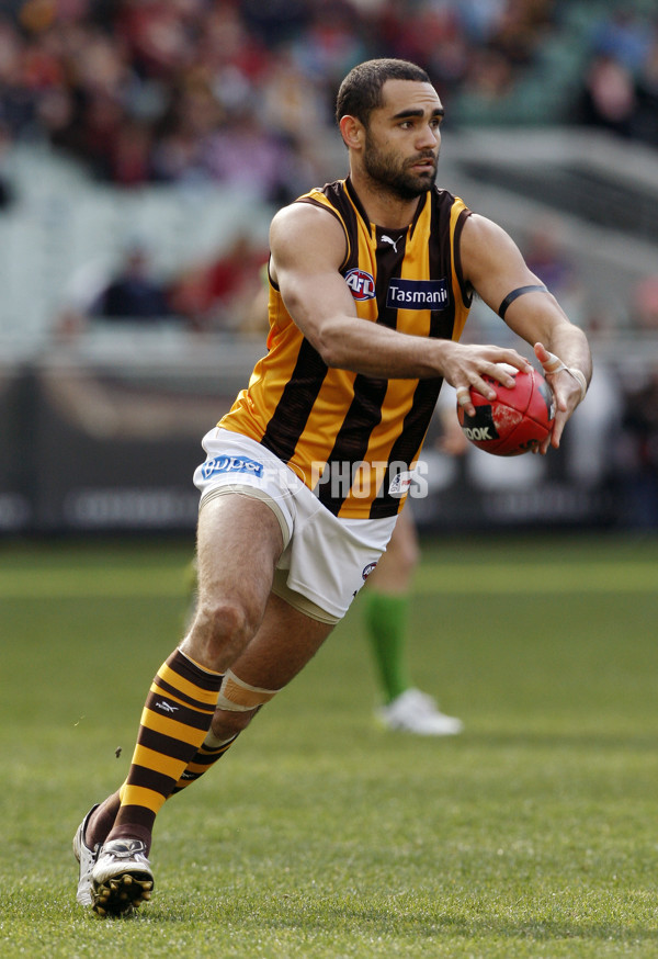 AFL 2011 Rd 18 - Melbourne v Hawthorn - 238357