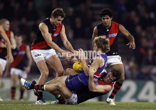 AFL 2011 Rd 21 - Western Bulldogs v Essendon - 240266