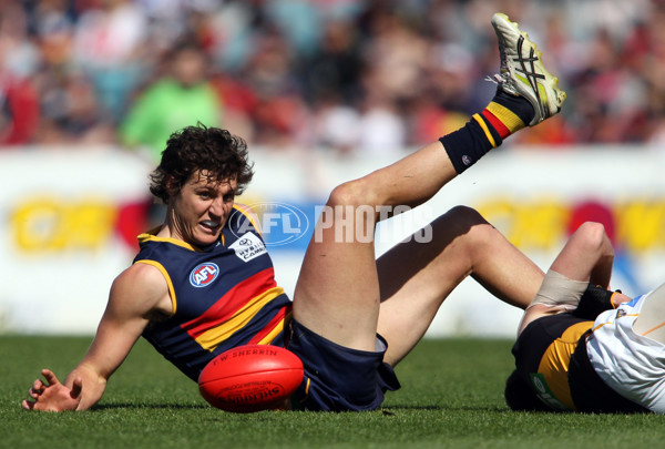 AFL 2011 Rd 23 - Adelaide v Richmond - 241883