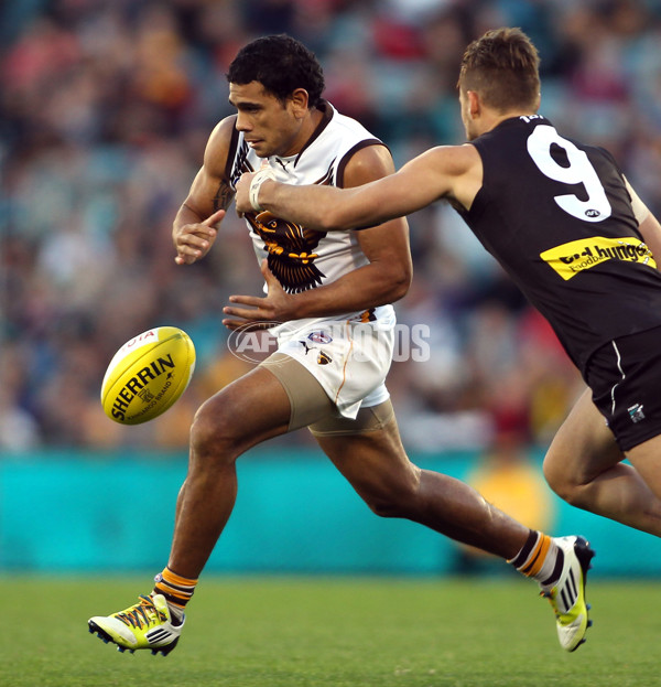 AFL 2012 Rd 11 - Port Adelaide v Hawthorn - 260116