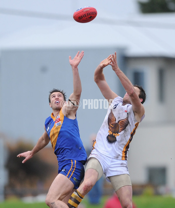 VFL 2012 Rd 11 - Williamstown v Box Hill - 259945