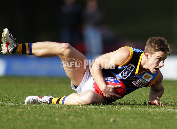 VFL 2012 Rd 12- Werribee Tigers v Sandringam Zebras - 260600