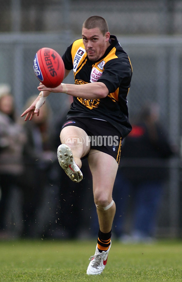 VFL 2012 Rd 12- Werribee Tigers v Sandringam Zebras - 260615