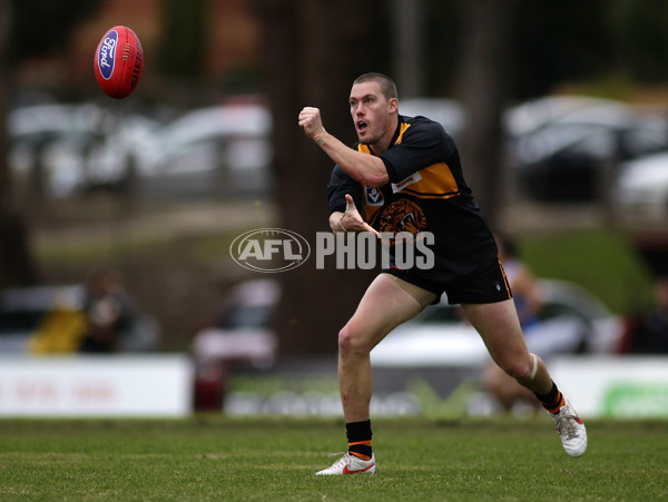 VFL 2012 Rd 12- Werribee Tigers v Sandringam Zebras - 260679