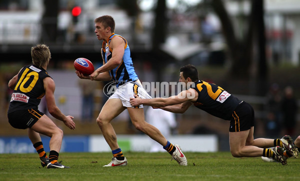 VFL 2012 Rd 12- Werribee Tigers v Sandringam Zebras - 260742