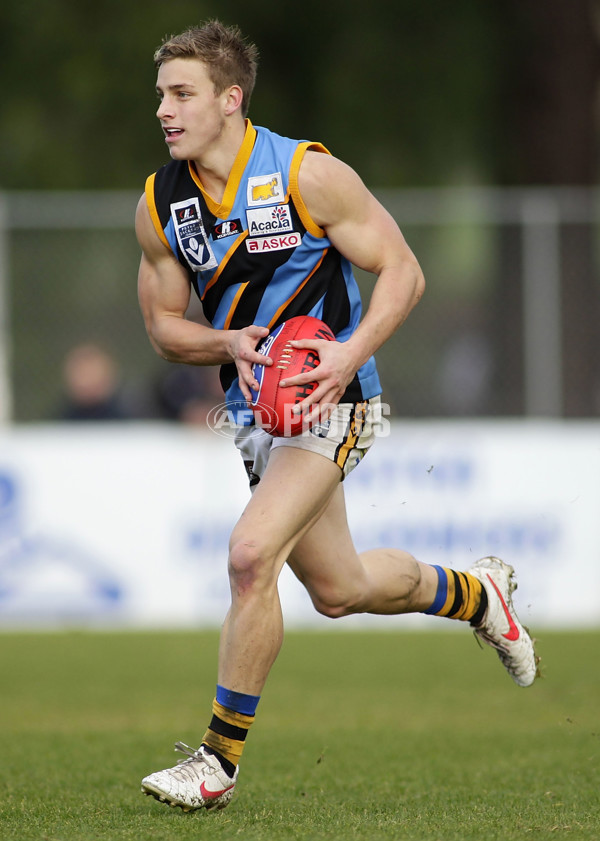 VFL 2012 Rd 12- Werribee Tigers v Sandringam Zebras - 260740