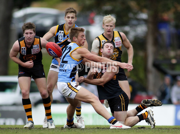 VFL 2012 Rd 12- Werribee Tigers v Sandringam Zebras - 260733