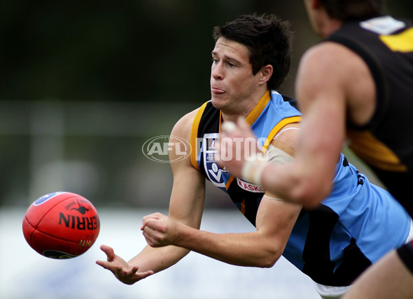 VFL 2012 Rd 12- Werribee Tigers v Sandringam Zebras - 260613