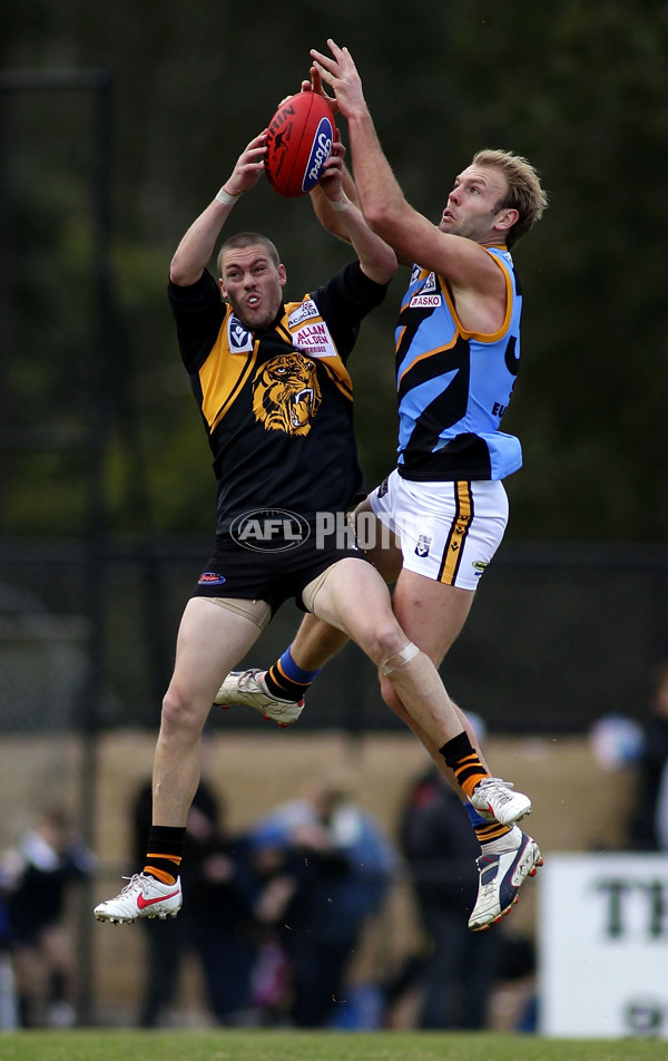 VFL 2012 Rd 12- Werribee Tigers v Sandringam Zebras - 260614