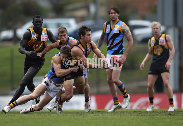VFL 2012 Rd 12- Werribee Tigers v Sandringam Zebras - 260682