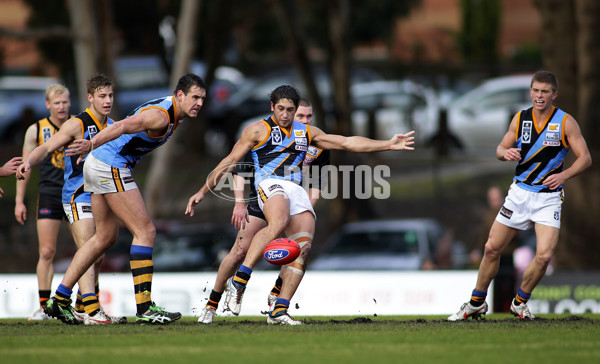 VFL 2012 Rd 12- Werribee Tigers v Sandringam Zebras - 260689