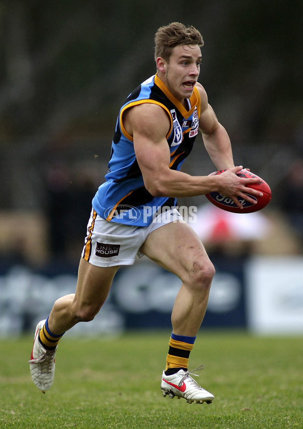 VFL 2012 Rd 12- Werribee Tigers v Sandringam Zebras - 260681