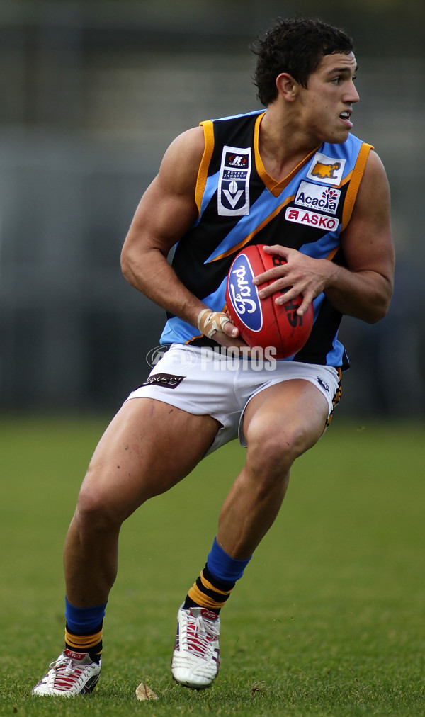 VFL 2012 Rd 12- Werribee Tigers v Sandringam Zebras - 260703