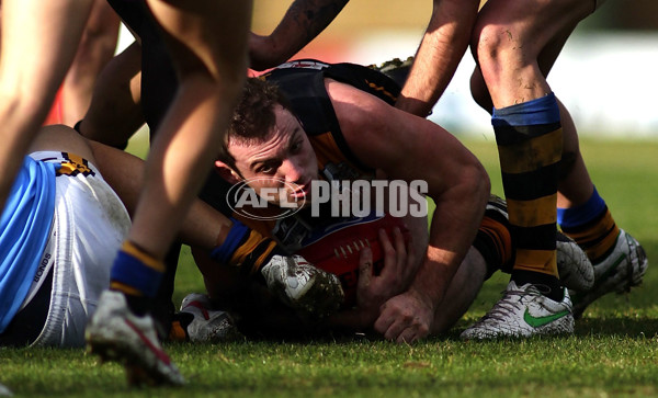 VFL 2012 Rd 12- Werribee Tigers v Sandringam Zebras - 260739