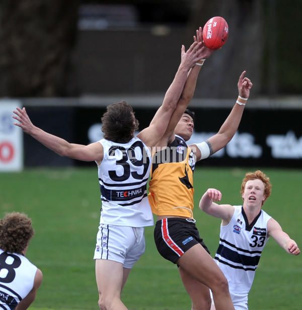 TAC 2012 Rd 10 - Dandenong v Northern Knights - 260935