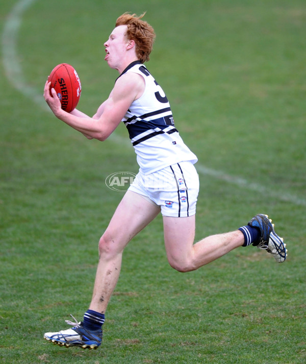 TAC 2012 Rd 10 - Dandenong v Northern Knights - 260989