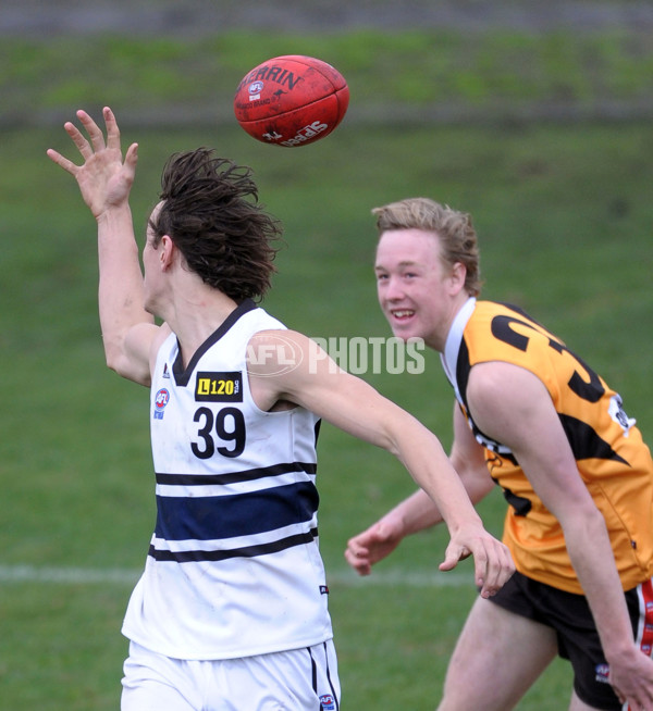 TAC 2012 Rd 10 - Dandenong v Northern Knights - 260992