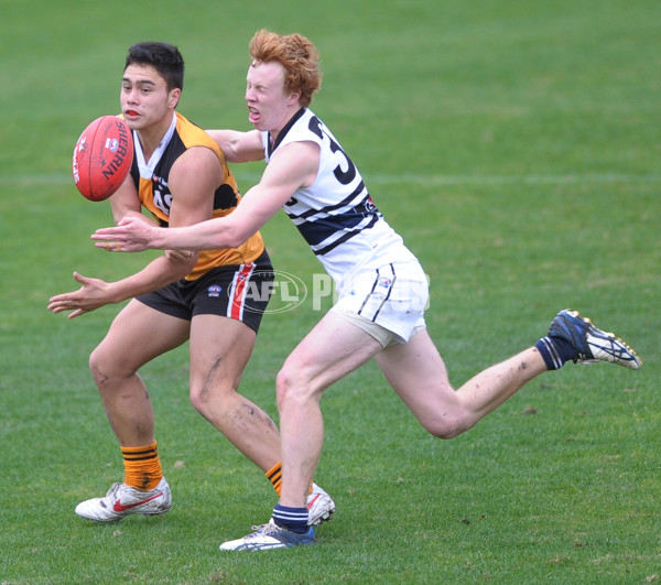 TAC 2012 Rd 10 - Dandenong v Northern Knights - 260990