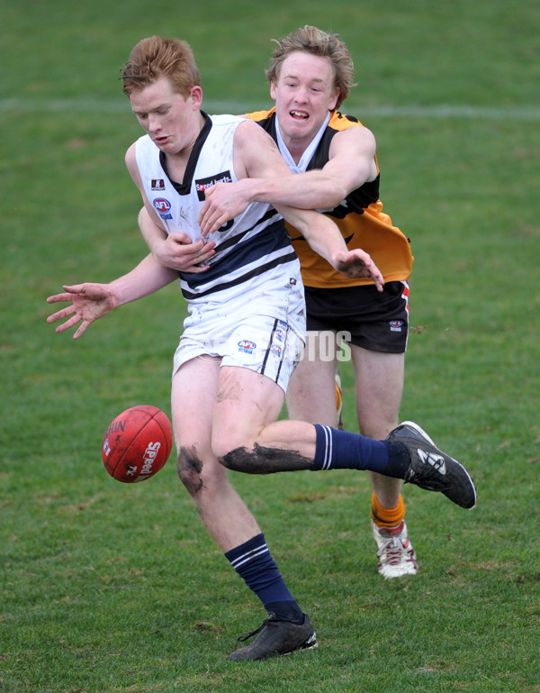 TAC 2012 Rd 10 - Dandenong v Northern Knights - 260991