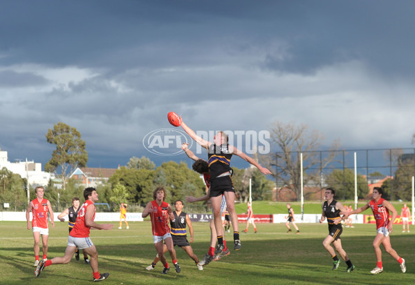 TAC 2012 Rd 11- Murray Bushrangers v Gippsland Power - 261833