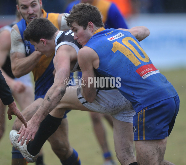 VFL 2012 Rd 14- Williamstown v North Ballarat - 262197