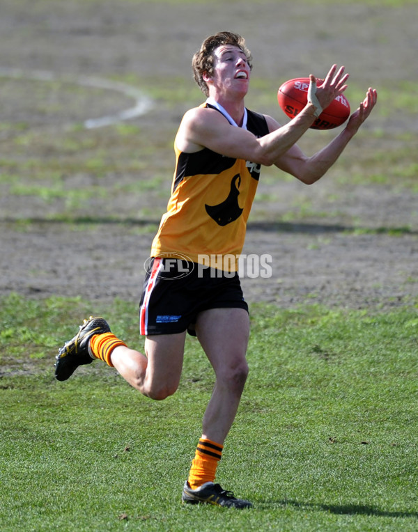 TAC 2012 Rd 13- Sandringham Dragons v Dandenong Stingrays - 263749