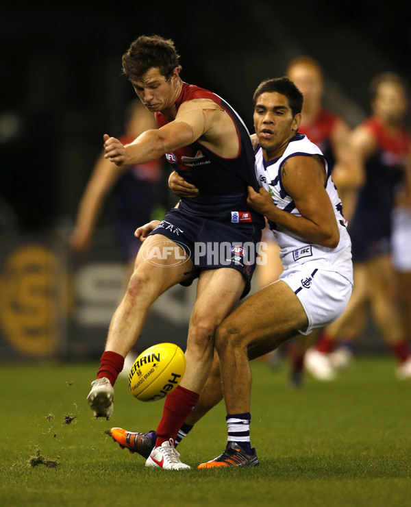 AFL 2012 Rd 16 - Melbourne v Fremantle - 263810