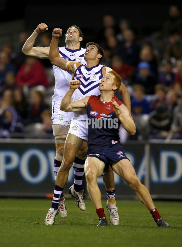 AFL 2012 Rd 16 - Melbourne v Fremantle - 263852