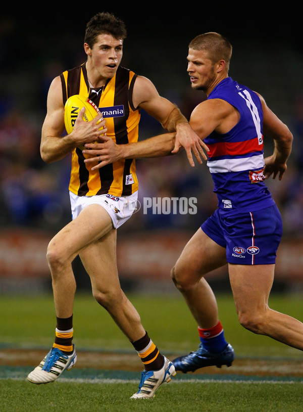 AFL 2012 Rd 16 - Western Bulldogs v Hawthorn - 264112