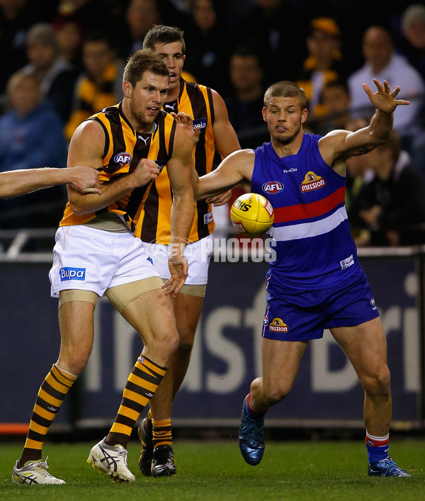 AFL 2012 Rd 16 - Western Bulldogs v Hawthorn - 264270