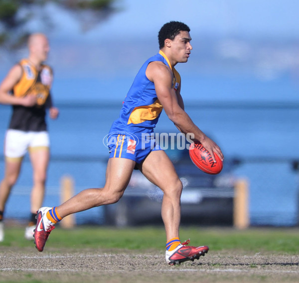 VFL 2012 Rd 17 - Williamstown v Werribee - 264696