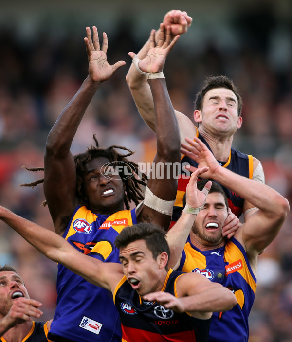 AFL 2012 Rd 17 - Adelaide v West Coast - 264668