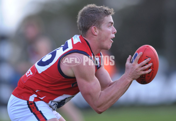 VFL 2012 Rd 18- Frankston Dolphins v Casey Scorpions - 265112