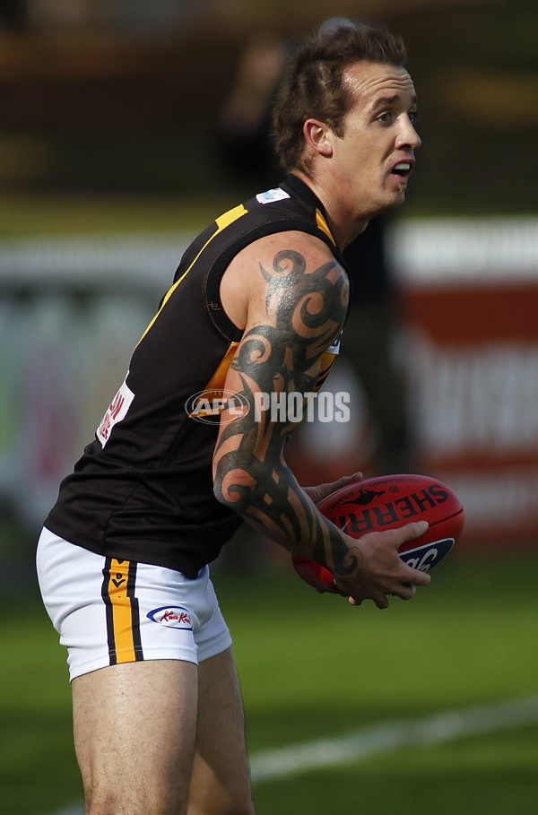 VFL 2011 Rd 10 - Port Melbourne v Werribee - 232339