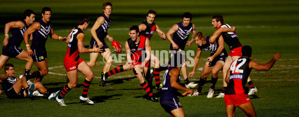 AFL 2011 Rd 12 - Fremantle v Essendon - 233635