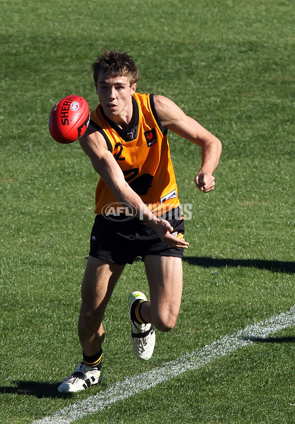 AFL 2011 NAB Under 18 Championships WA v Tasmania - 233695