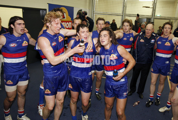 AFL 2011 Rd 13 - Western Bulldogs v Adelaide - 233967