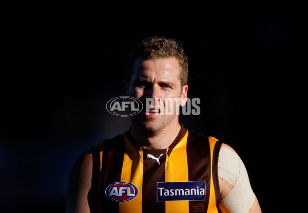 AFL 2011 Rd 13 - Hawthorn v Gold Coast - 234118