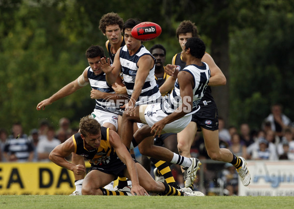 AFL 2010 NAB Challenge - Richmond v Geelong - 199350