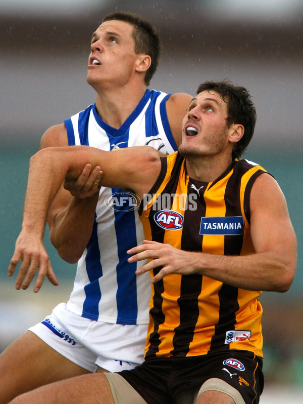 AFL 2010 NAB Challenge - Hawthorn v North Melbourne - 199775