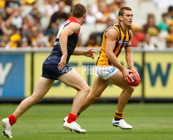 AFL 2010 Rd 01 - Melbourne v Hawthorn - 201183